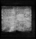 I65183 - son of Farmery Maw 25121673.jpg