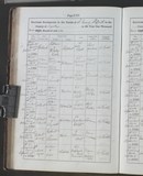 I76321 - Birth & Baptism Fanny Constance Hadfield 17101901-03111901