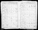 I80337 - Birth & Baptism Donald Paley Mackay 20091884-19101884 I80337 - Birth & Baptism Donald Paley Mackay 20091884-19101884