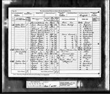 UK Cens 1881 - RG11-4795 - F 9 P 12 S 41 (Driffield-Bainton)