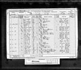 UK Cens 1891 - RG12-2445 - F 48 P 9 S 50 (Nuneaton-Nuneaton) UK Cens 1891 - RG12-2445 - F 48 P 9 S 50 (Nuneaton-Nuneaton)