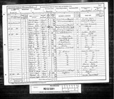 UK Cens 1891 - RG12-3201 - F 88 P 5 S 24 (Chorlton-Hulme)