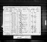 UK Cens 1891 - RG12-3823 - F 35 P 29 S 194 (Sheffield-South Sheffield)