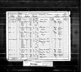 UK Cens 1891 - RG12-3833 - F 153 P 42 S 215 (Sheffield-Brightside)