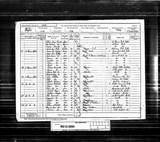 UK Cens 1891 - RG12-3895 - F 11 P 16 S 84 (York-Walmgate) UK Cens 1891 - RG12-3895 - F 11 P 16 S 84 (York-Walmgate)