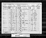 UK Cens 1891 - RG12-3914 - F 110 P 31 S 185 (Sculcoates-Cottingham) UK Cens 1891 - RG12-3914 - F 110 P 31 S 185 (Sculcoates-Cottingham)