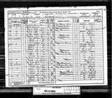 UK Cens 1891 - RG12-3965 - F 99 P 31 S 201 (Scarborough-Scarborough) UK Cens 1891 - RG12-3965 - F 99 P 31 S 201 (Scarborough-Scarborough)