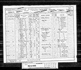 UK Cens 1891 - RG12-4008 - F 96 P 36 S 214 (Middlesborough-Middlesborough)