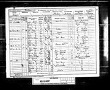 UK Cens 1891 - RG12-4087 - F 21 P 39 S 237 (Lanchester-Tanfield)