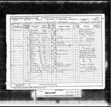 UK Cens 1891 - RG12-4227 - F 21 P 35 S 320 (Tynemouth-Tynemouth) UK Cens 1891 - RG12-4227 - F 21 P 35 S 320 (Tynemouth-Tynemouth)