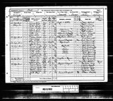 UK Cens 1891 - RG12-852 - F 54 P 19 S 135 (Havant-Havant)