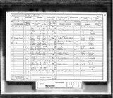 UK Cens 1891 - RG12-894 - F 83 P 29 S 170 (Isle Of Wight-Brading).jpg