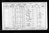 UK Cens 1901 - RG13-3871 - F 77 P 14 S 95 (Burnley-West Ward)