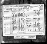 UK Cens 1881 - RG11-5096 - F 48 P 35 S 175 (Castle Ward-Ponteland)