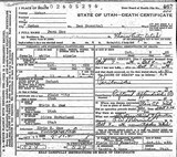 I17685 - Death Fern Maw 09111924