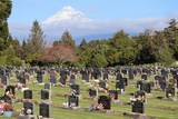 Awanui Cemetery, Awanui.jpg