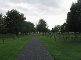 German Military Cemetery Neuville St Vaast 7.jpg