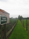 Grootebeek British Cemetery 2.jpg
