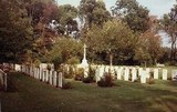 Hermanville War Cemetery.jpg