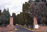 Juniper Haven Cemetery.jpg