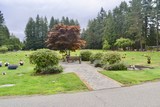 Langley Lawn Cemetery.jpg