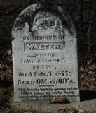 MMI - I11529 Walter Maw MMI - I11529 Walter Maw