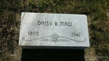 MMI - I19796 - Daisy B Maw MMI - I19796 - Daisy B Maw