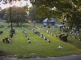 Mount Albion Cemetery 4.jpg Mount Albion Cemetery 4.jpg