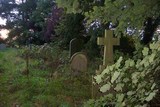Owston Ferry Churchyard 2.jpg